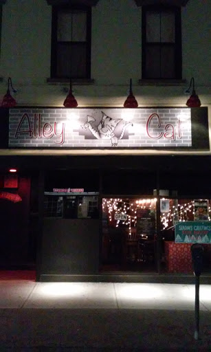 Bar «Alley Cat Blues & Jazz Club», reviews and photos, 294 Wall St, Kingston, NY 12401, USA