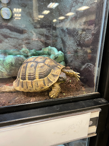 Pet Supply Store «Petco Animal Supplies», reviews and photos, 2204 Harlem Ave, North Riverside, IL 60546, USA