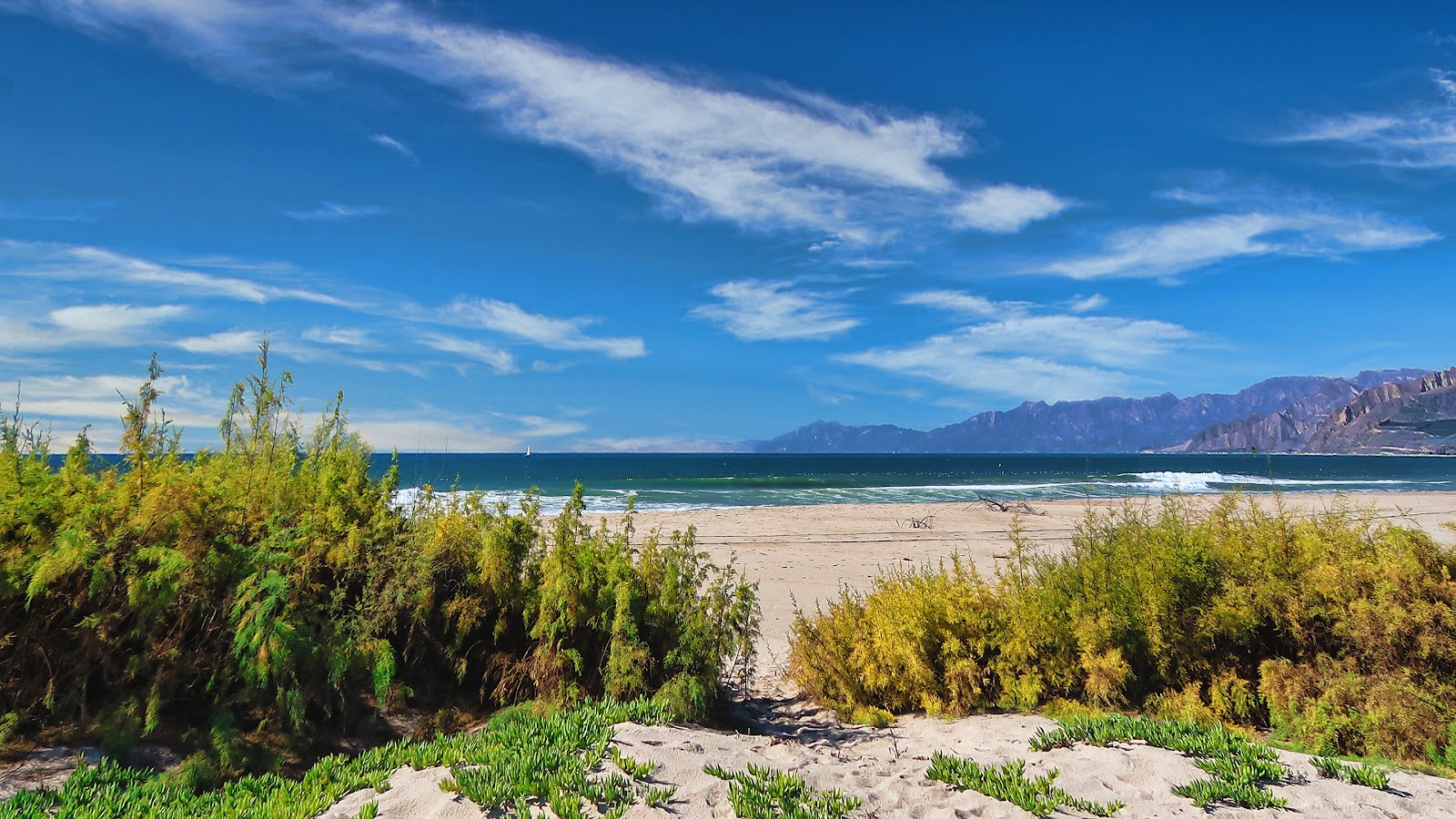 Foto di Mcgrath Beach con una superficie del sabbia beige