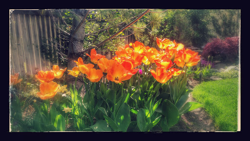 Landscaper «Elite Grounds L.C.», reviews and photos, 800 S Main St, Pleasant Grove, UT 84062, USA