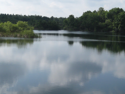 Nature Preserve «Gator Creek Reserve», reviews and photos, 9725 US Hwy 98 N, Lakeland, FL 33809, USA