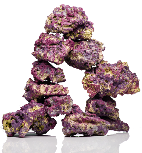 Tropical Fish Store «Blue Reef Aquatics», reviews and photos, 5960 Losee Rd, North Las Vegas, NV 89081, USA