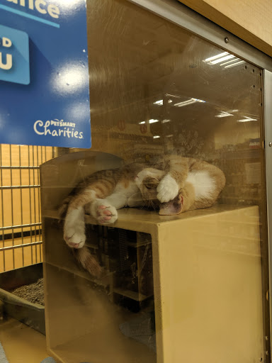 Pet Supply Store «PetSmart», reviews and photos, 4142 Commonwealth Ave, Eau Claire, WI 54701, USA