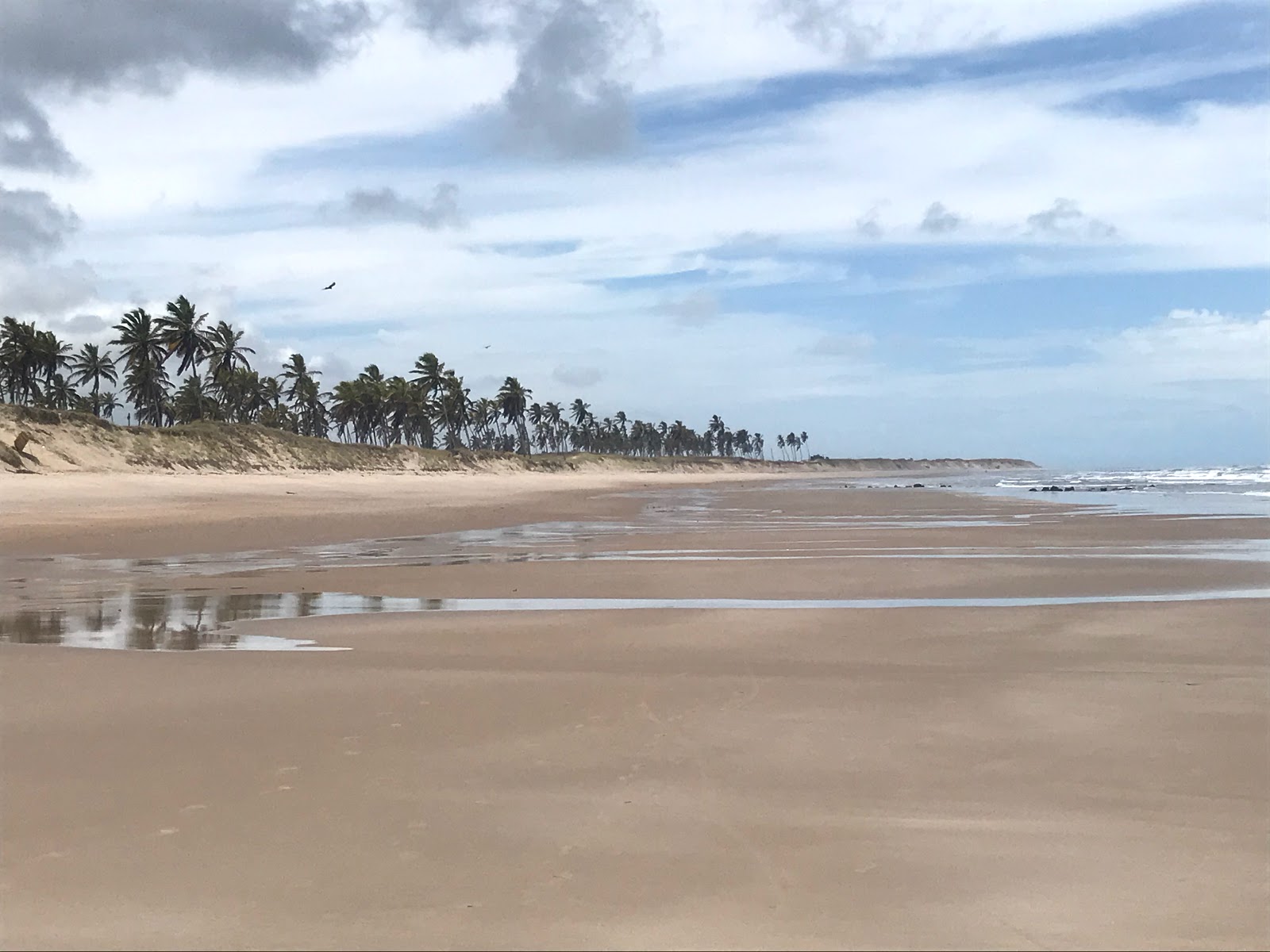 Foto von Miriri Strand mit langer gerader strand