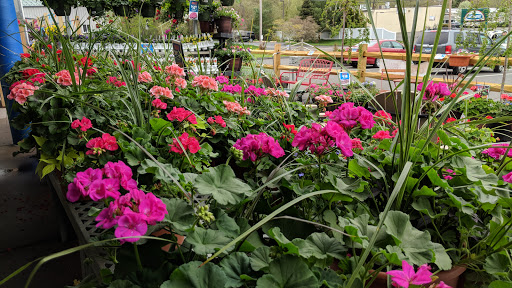 Pet Supply Store «Agway North Branford», reviews and photos, 11 Whitewood Ln, North Branford, CT 06471, USA