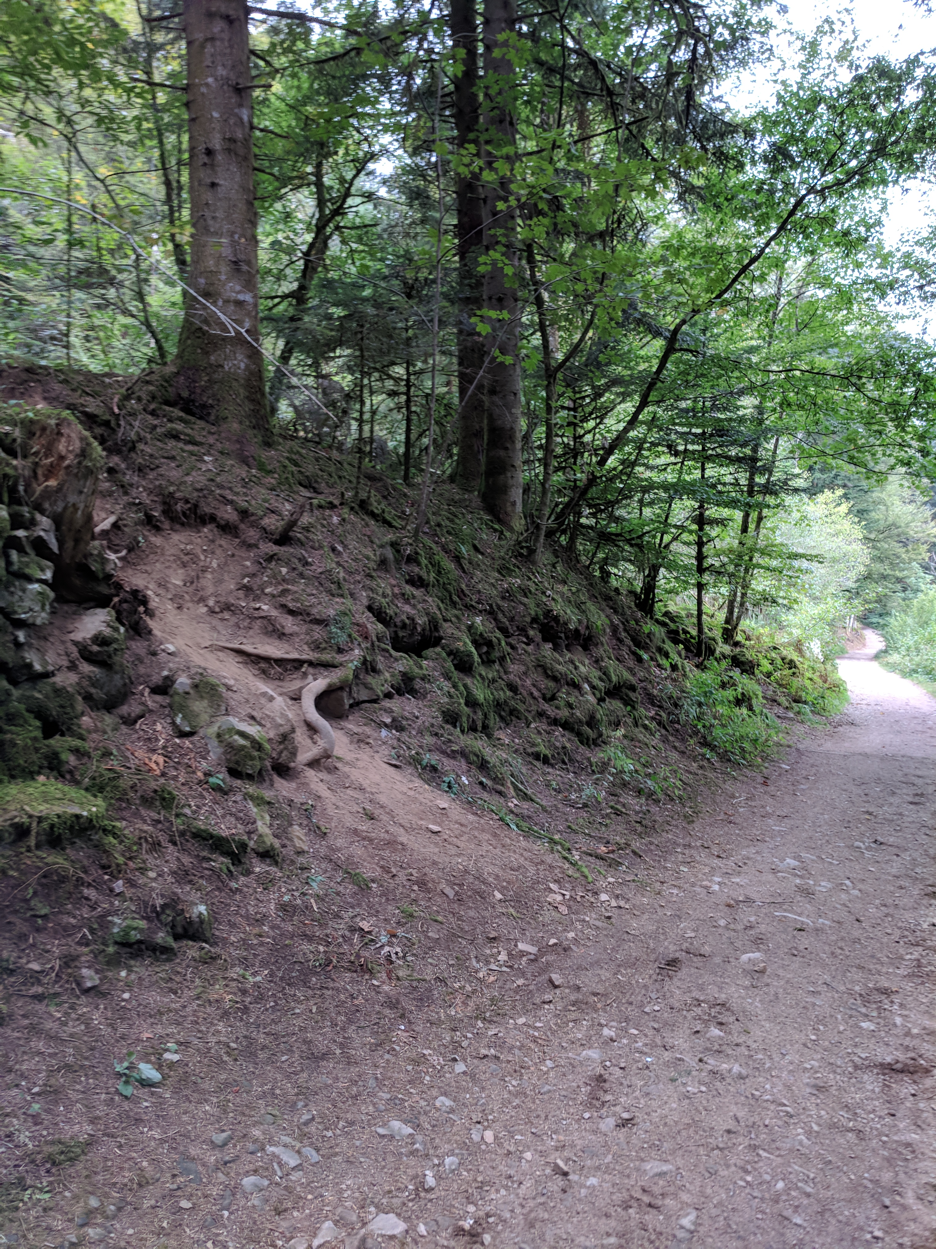 Photo n° 4 de l'avis de LAMBERT.r fait le 27/08/2018 à 11:58