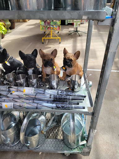 Florist «Metropolitan Plant & Flower Exchange Inc.», reviews and photos, 2125 Fletcher Ave, Fort Lee, NJ 07024, USA