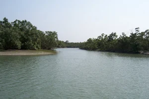 Sundarban Forest Travel Agency image