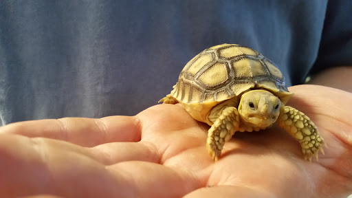 Pet Supply Store «Incredible Pets», reviews and photos, 649 Sutton Way, Grass Valley, CA 95945, USA