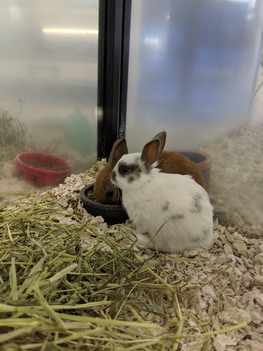 Pet Store «Pets Place II», reviews and photos, 120 E Rte 59, Nanuet, NY 10954, USA