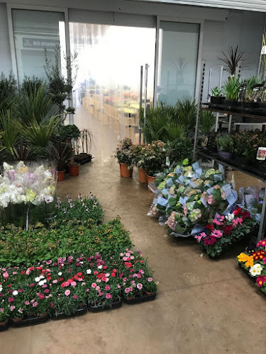 Midland Flower Company Ltd - Florist