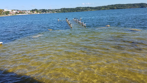 Department Store «T.J. Maxx», reviews and photos, 5500 Sunrise Hwy, Massapequa, NY 11758, USA