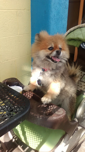 Dessert Shop «Tonallis Donuts & Cream», reviews and photos, 2805 NE Alberta St, Portland, OR 97211, USA