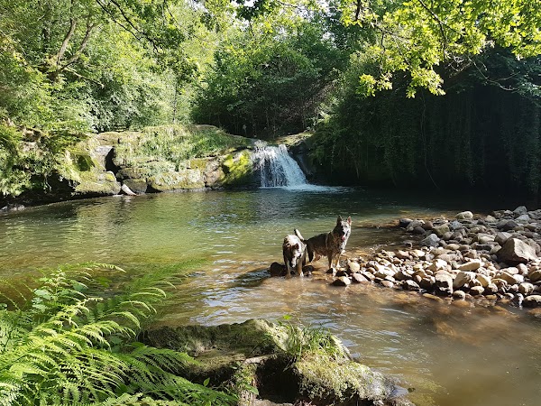 Centro Canino Valdaliga