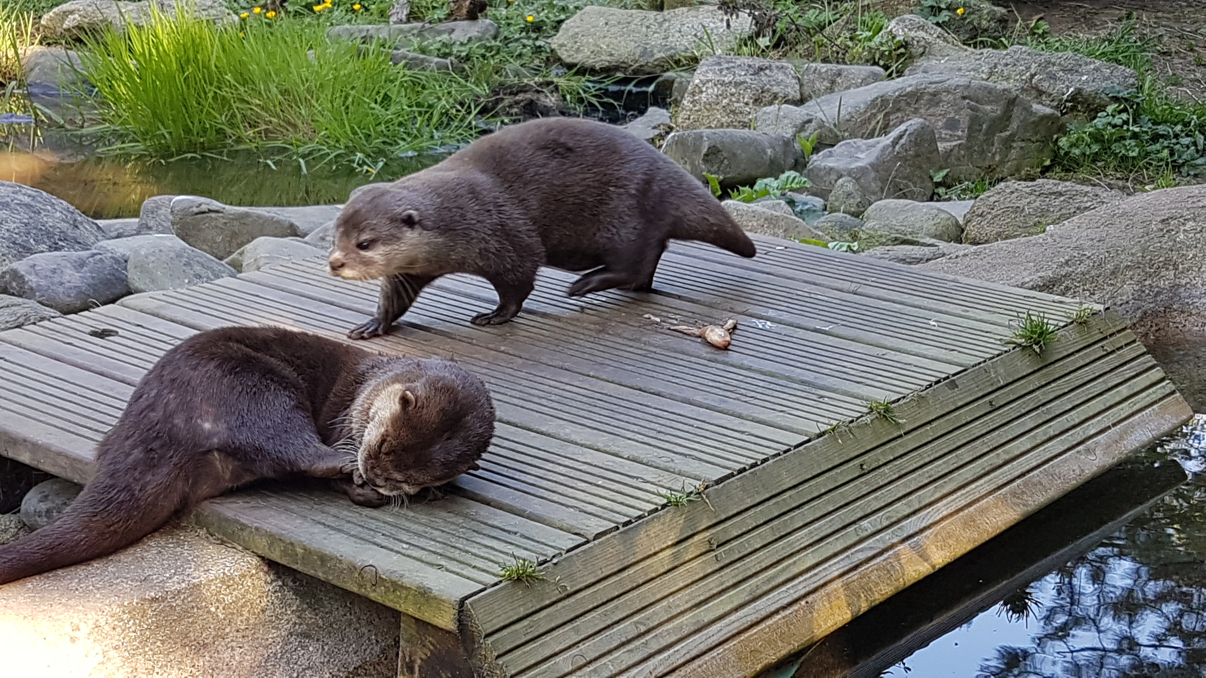 Photo n° 10 de l'avis de Dominique.A fait le 21/05/2019 à 20:35