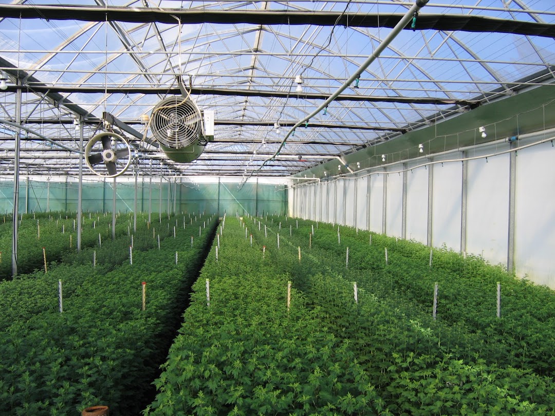 Aquanet Irrigation
