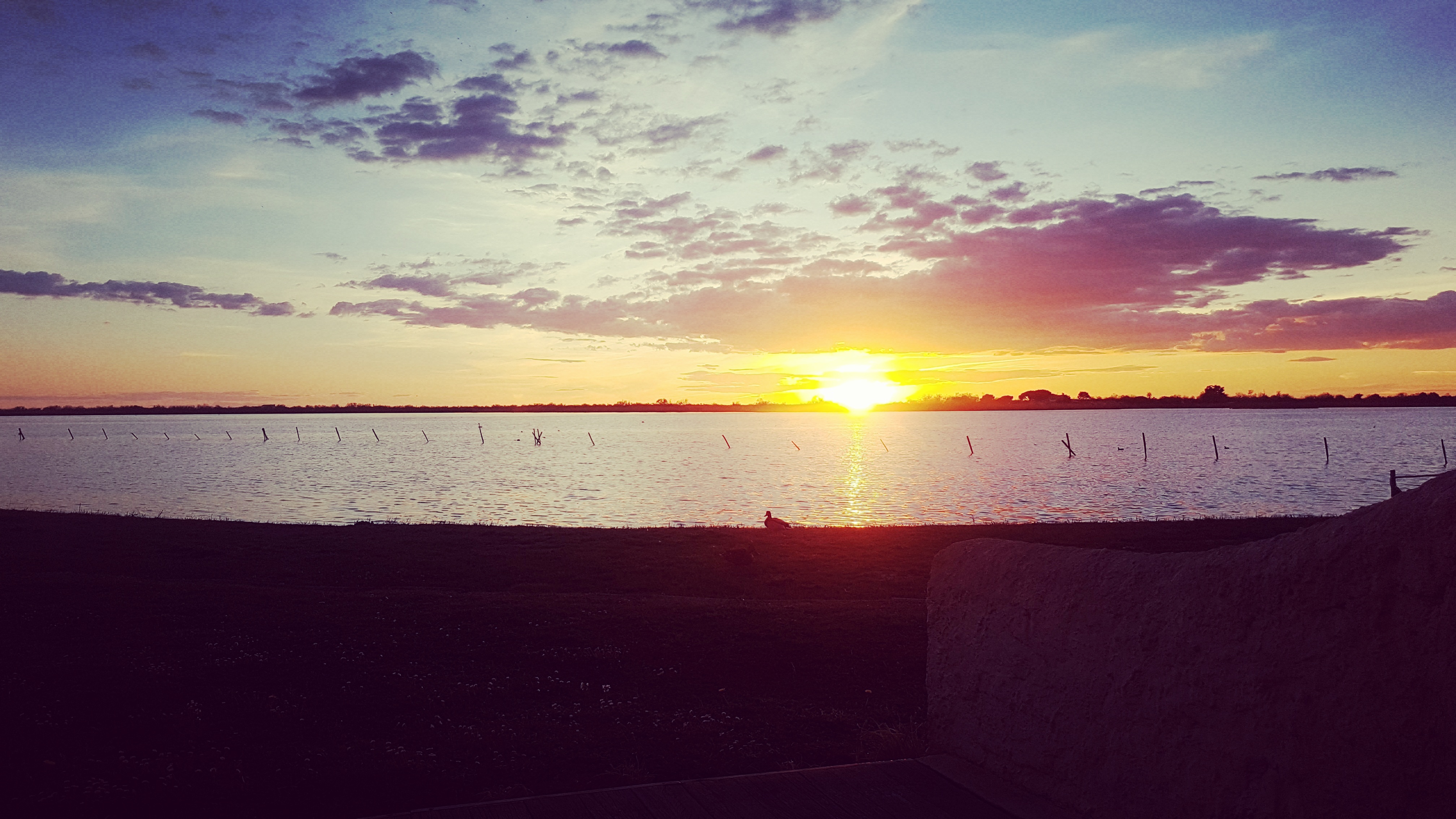 Photo n° 1 de l'avis de Geoffrey.a fait le 21/03/2017 à 10:16
