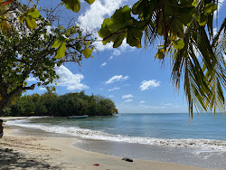 Tam Tam beach'in fotoğrafı imkanlar alanı