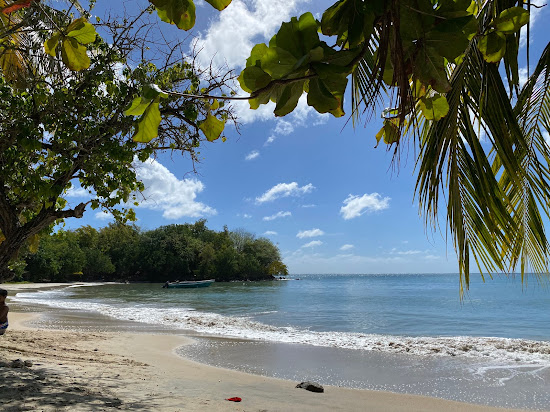 Tam Tam beach
