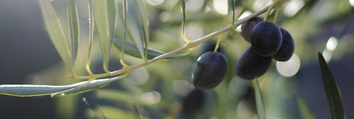 Épicerie Made In Olive - Produits à l'huile d'olive Cannes