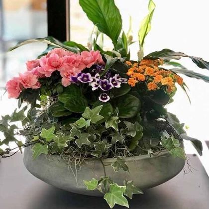 Florist «Ambience Floral Design & Gifts», reviews and photos, 1249 Pleasant Grove Blvd #100, Roseville, CA 95678, USA