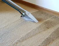 Magic Steamer Carpet Cleaners - Car repair in , Lafayette - Rated 5.0/5