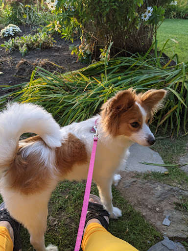 Pet Store «All Pets Club», reviews and photos, 1167 N Colony Rd, Wallingford, CT 06492, USA