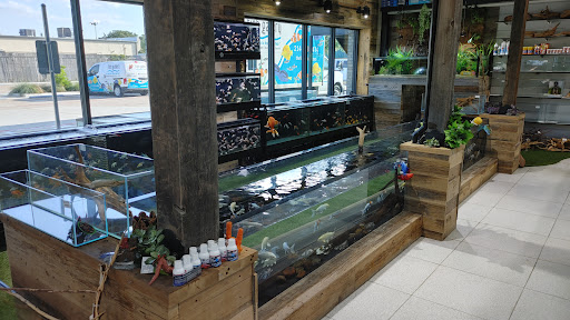 Tropical Fish Store «Fish Gallery», reviews and photos, 6955 Greenville Ave, Dallas, TX 75231, USA