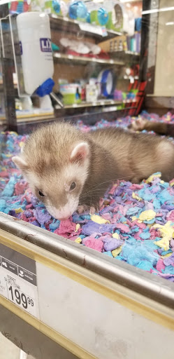 Pet Supply Store «Petco Animal Supplies», reviews and photos, 280 Kensington Blvd, Slidell, LA 70458, USA