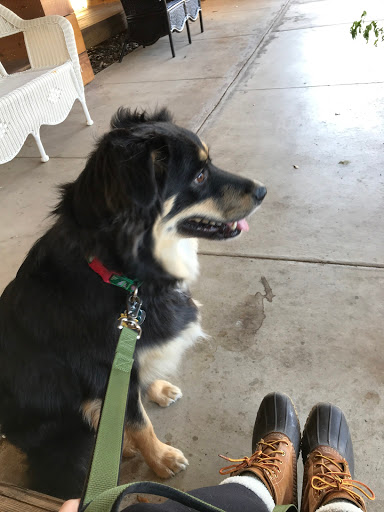 Coffee Shop «Pinewood Coffee Bar», reviews and photos, 2223 Austin Ave, Waco, TX 76706, USA