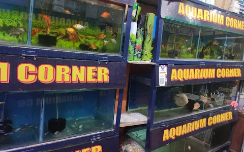 Aquarium corner image