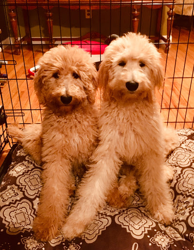 Insurance Agency «I & E Insurance Agency», reviews and photos