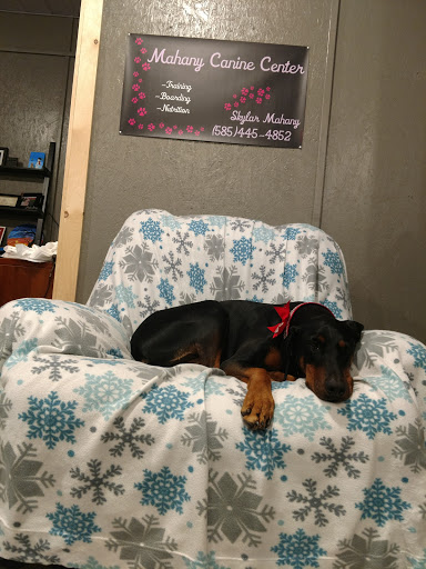 Mahany Canine Center