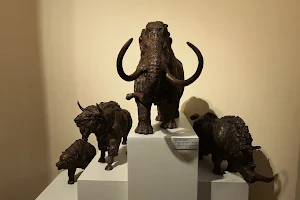 Музей Природы и Человека image