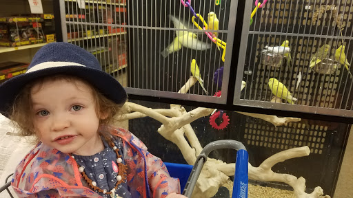 Pet Supply Store «PetSmart», reviews and photos, 316 NE 78th St, Vancouver, WA 98665, USA
