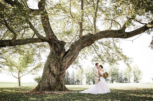 Wedding Venue «The Barn on Boundary», reviews and photos, 19601 N Boundary Rd, Eaton, IN 47338, USA
