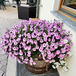 Photo n°2 de l'avis de Fulvio.p fait le 28/08/2020 à 09:37 sur le  Hotel Bergkristall à Gossensass-Colle Isarco