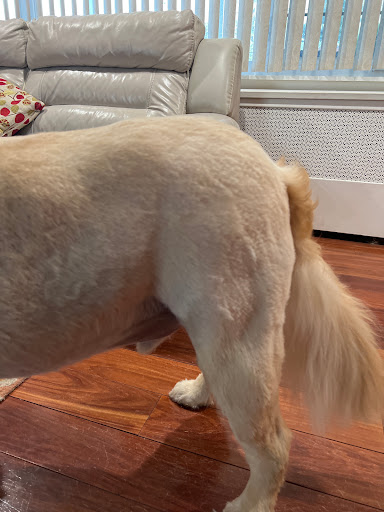 Pet Supply Store «PetSmart», reviews and photos, 863 St George Ave, Woodbridge, NJ 07095, USA