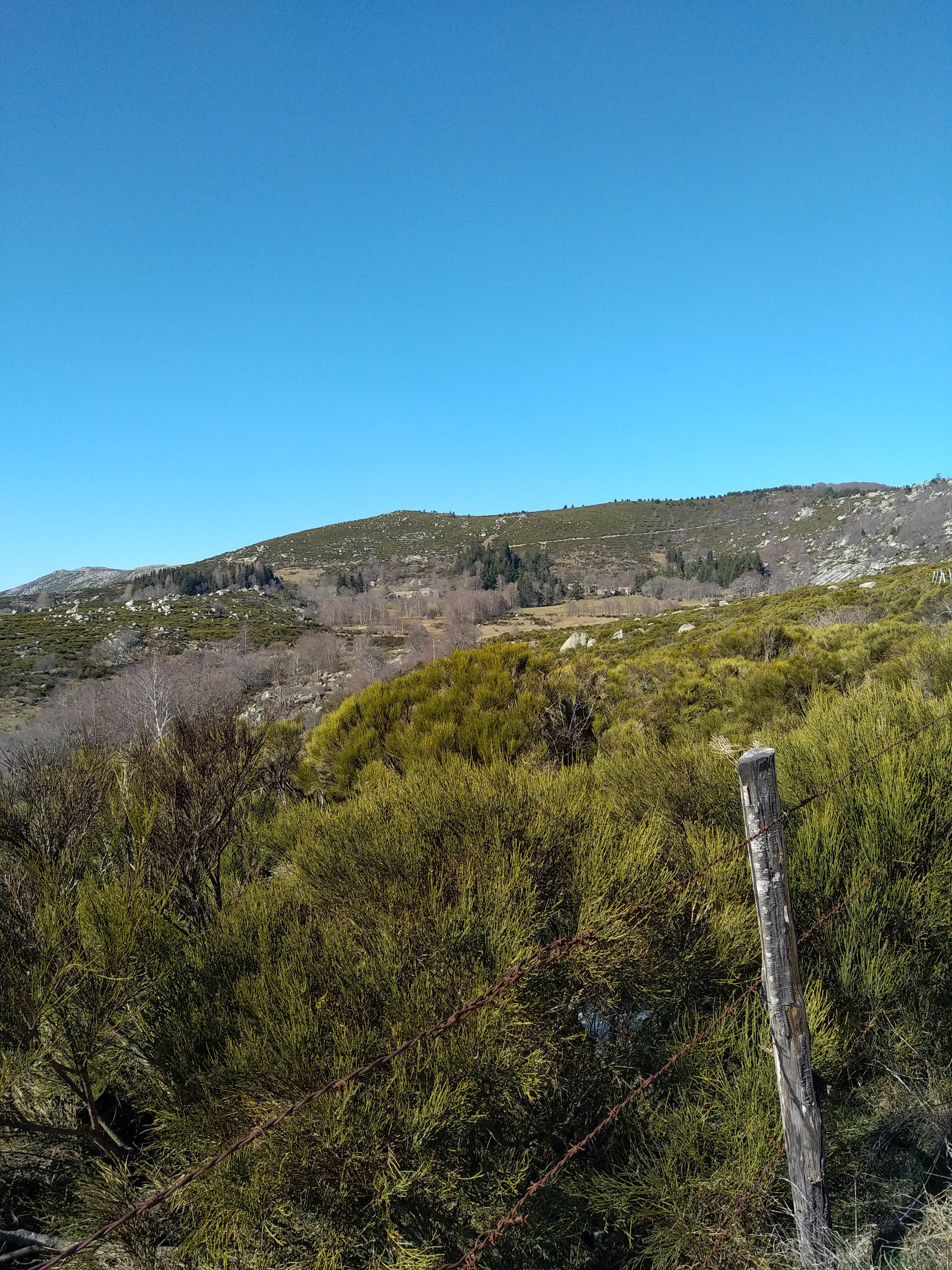 Photo n° 12 de l'avis de Julien.a fait le 05/03/2023 à 15:22