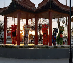 ESCUELA DE ARTES MARCIALES CHUAN FA, KUNG FU, BENITO JUAREZ photo