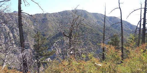Observation Deck «Inspiration Point», reviews and photos, Echo Mountain (Mount Lowe Railroad Trail), Altadena, CA 91001, USA