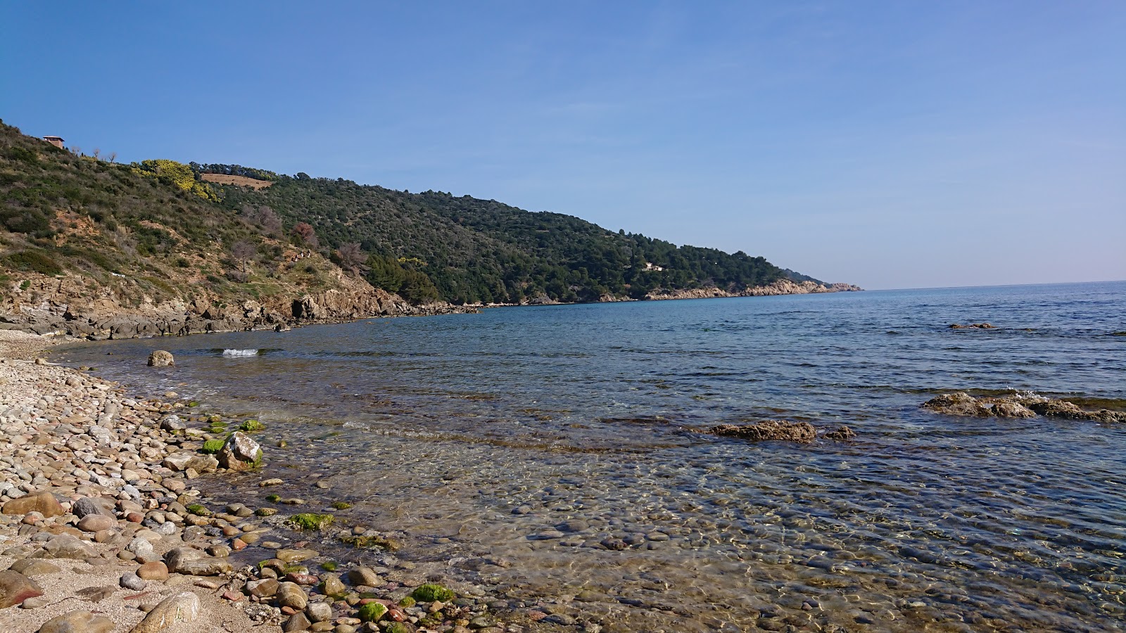 Foto de Quessine beach com água cristalina superfície