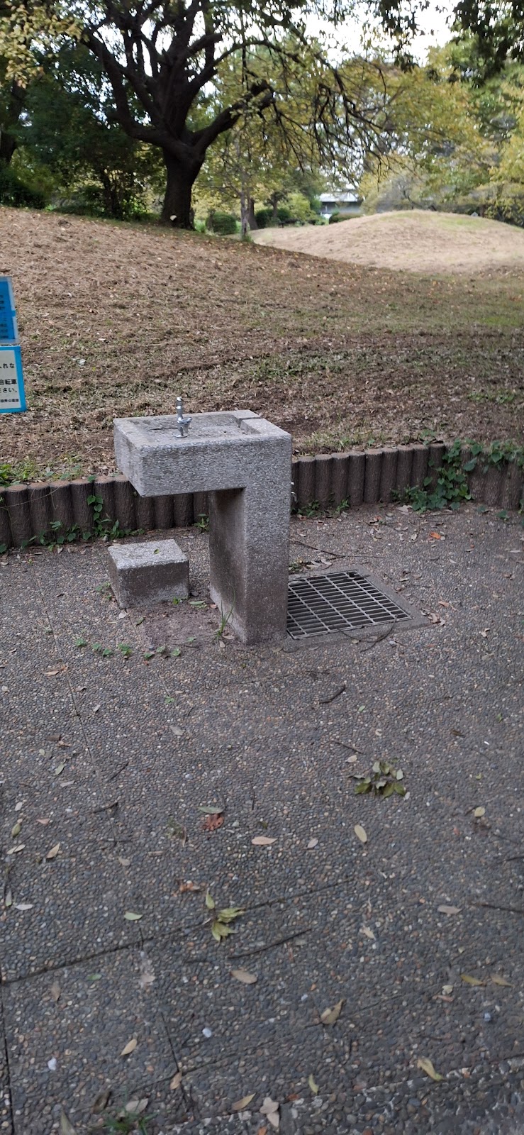 水飲み場（公園内）