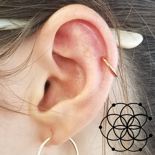 Tattoo Shop «Z Edge Tattoo & Body Piercing South Shop», reviews and photos, 3603 Clark Rd, Sarasota, FL 34233, USA