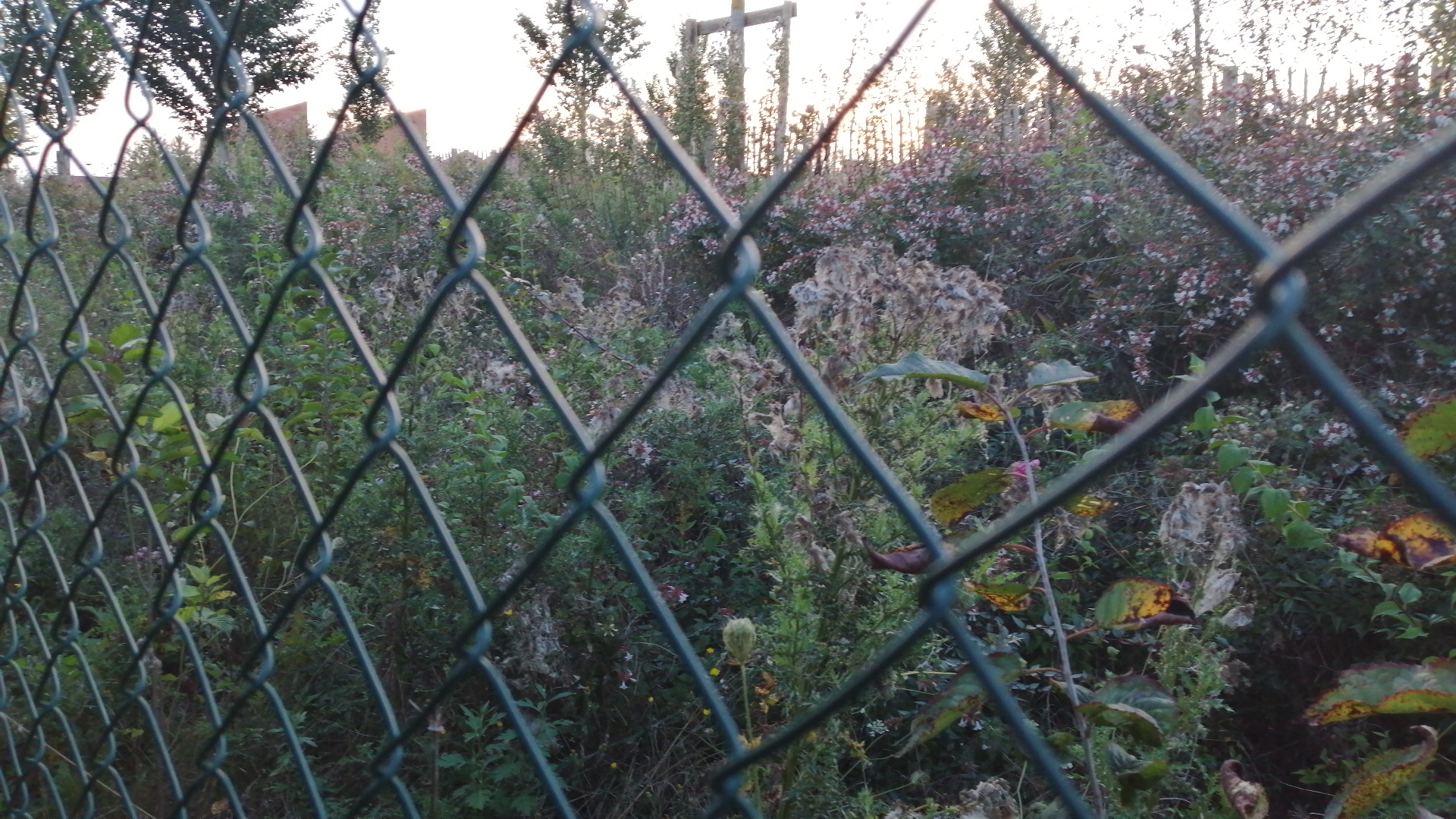 Photo n° 5 de l'avis de jean.a fait le 08/09/2023 à 18:02