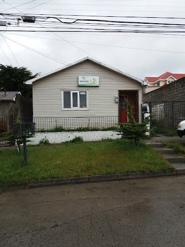 Clínica Veterinaria Santa Sofía - Punta Arenas