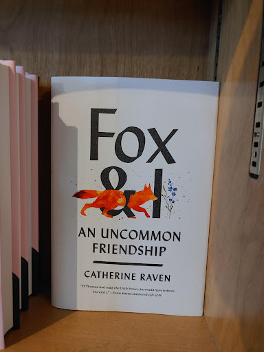 Book Store «WORD», reviews and photos, 126 Franklin St, Brooklyn, NY 11222, USA