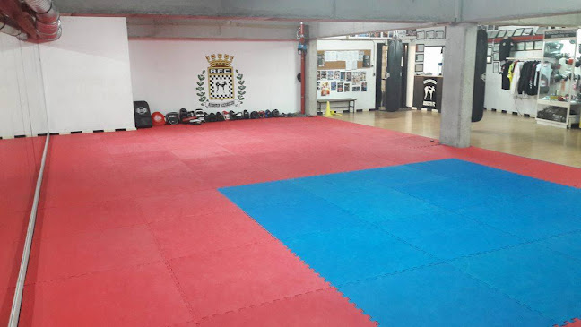 Academia Boavista Kickboxing - Escola