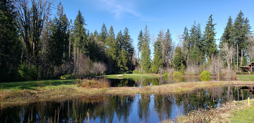 Golf Club «The Golf Club At Redmond Ridge», reviews and photos, 11825 Trilogy Pkwy NE, Redmond, WA 98053, USA