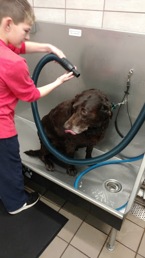 Pet Supply Store «Pet Supplies Plus», reviews and photos, 2441 N Center St, Hickory, NC 28601, USA